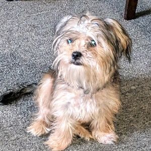 Meet your Posher, Lorraine